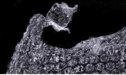 Photo Textures of Plastic